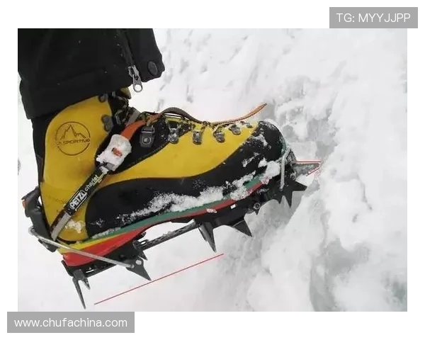 极限运动战术探讨:北京极限运动队的灵活转换与战术创新分析