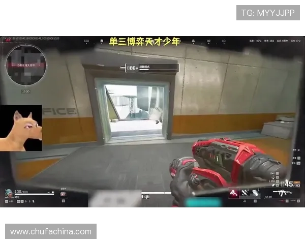 和平精英盛宴：深入解析EDG战队的强大实力与战术魅力