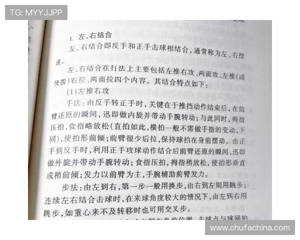 杭州乒乓球队防反战术解析与深度剖析乒乓球竞技的魅力与技术之道